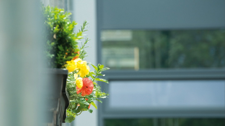 Blumen-willkommen
